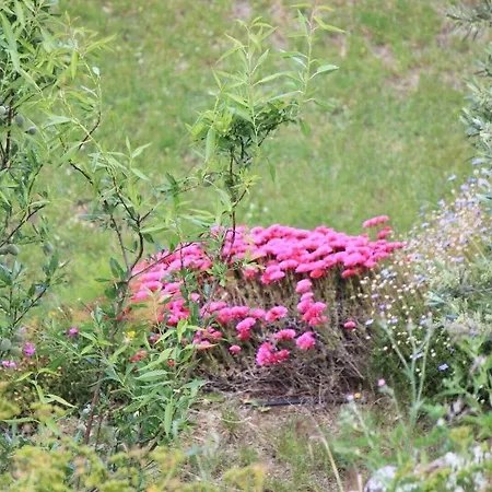 Le Niobel - De Charme 3*