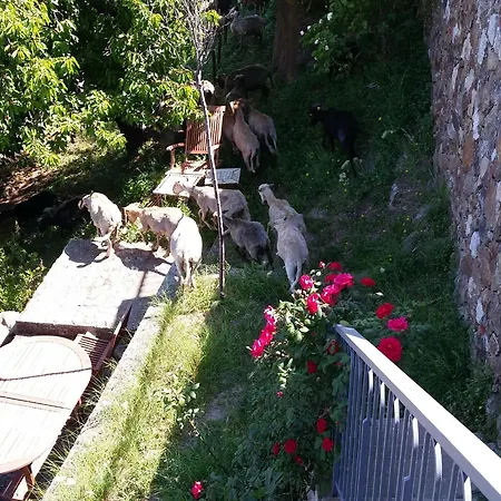 Hotell Le Niobel - De Charme 3*