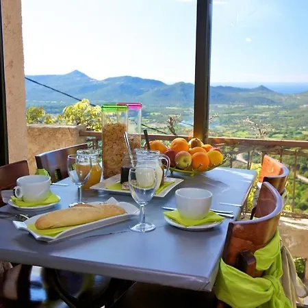 Le Niobel Belgodere (Corsica)