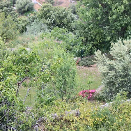 호텔 Le Niobel - De Charme Belgodère