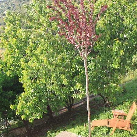 Le Niobel Belgodere (Corsica)