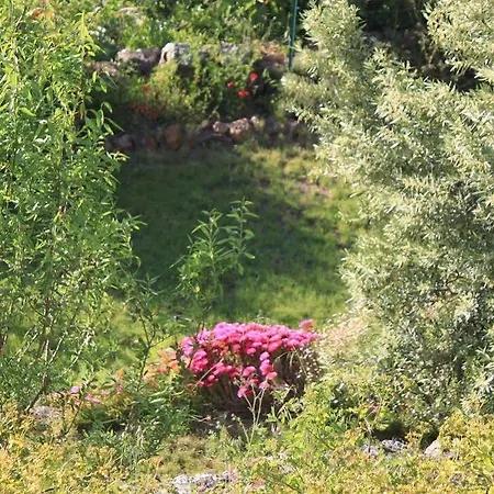 Le Niobel Hotel Belgodere (Corsica)