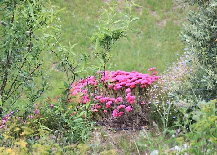 Le Niobel - De Charme 3*