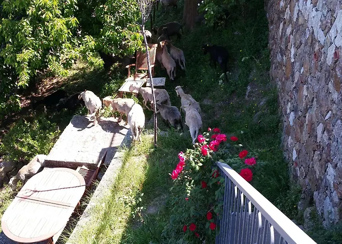 מלון Le Niobel - De Charme 3*