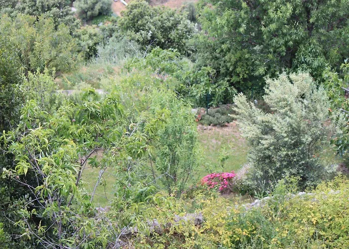 Hotel Le Niobel - De Charme Belgodère