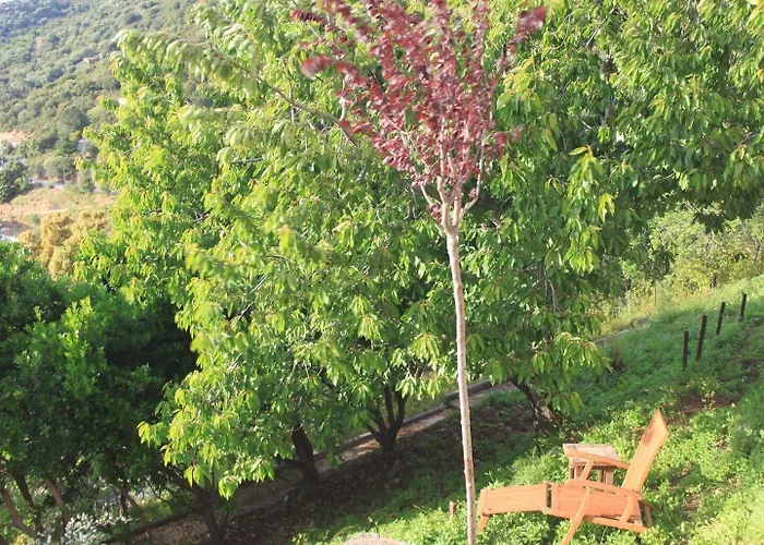 Le Niobel - De Charme Belgodère