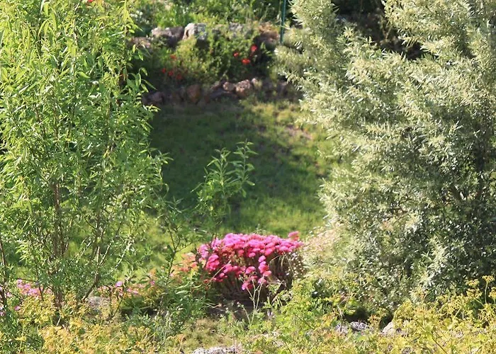 Le Niobel - De Charme מלון Belgodère